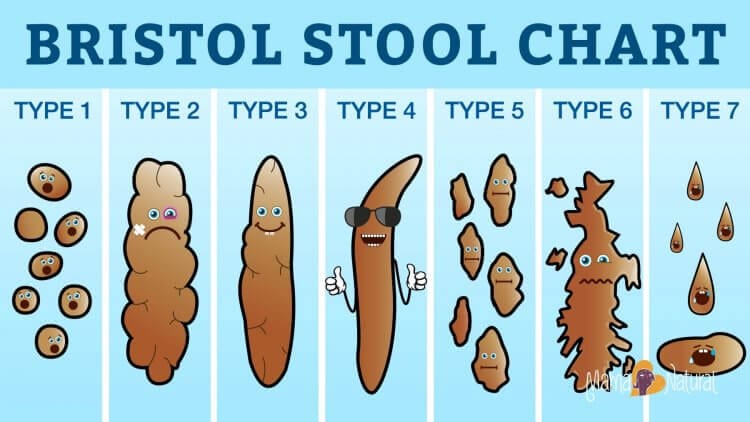 Bristol-Stool-Chart-What-Your-Poop-Says-About-Your-Health-Mama-Natural-750x422